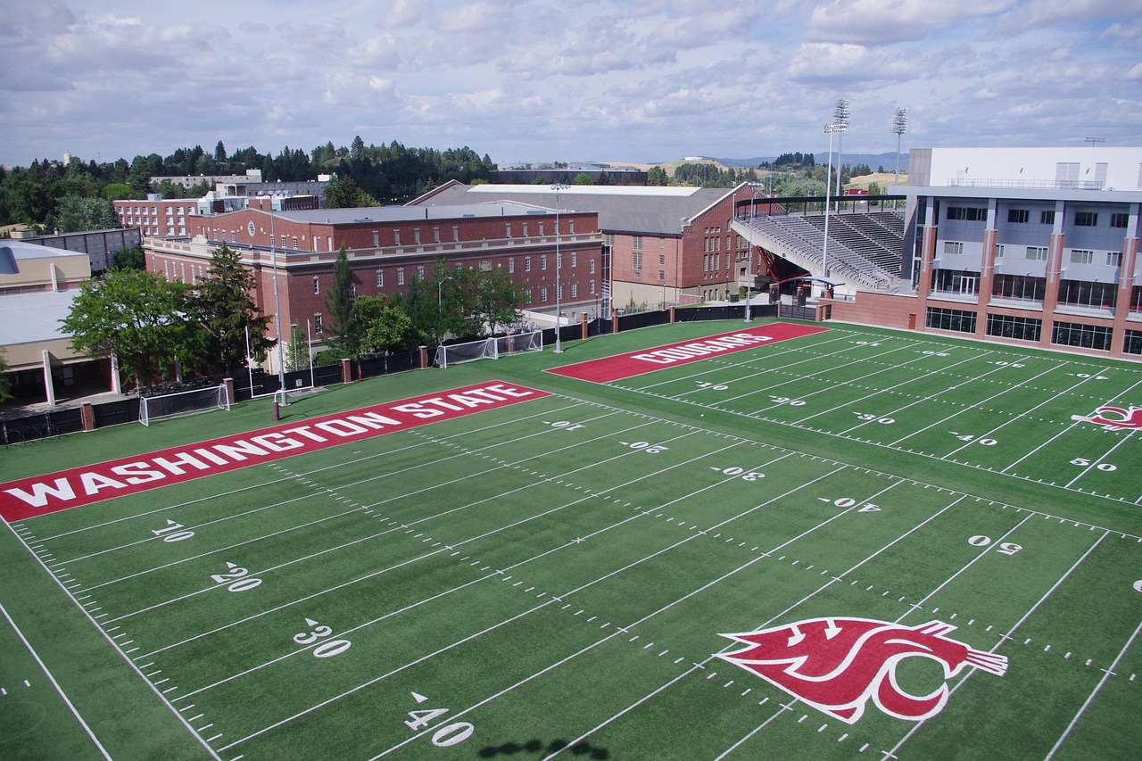 铁塔猫柠檬细枝双爆珠（细）：德阳公司注册代理宝兴