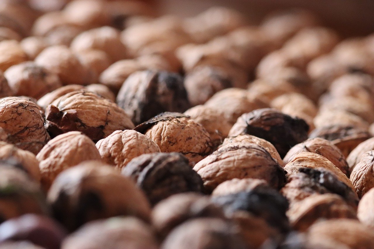 快代理ip实名账号：温岭期货网上开户平台