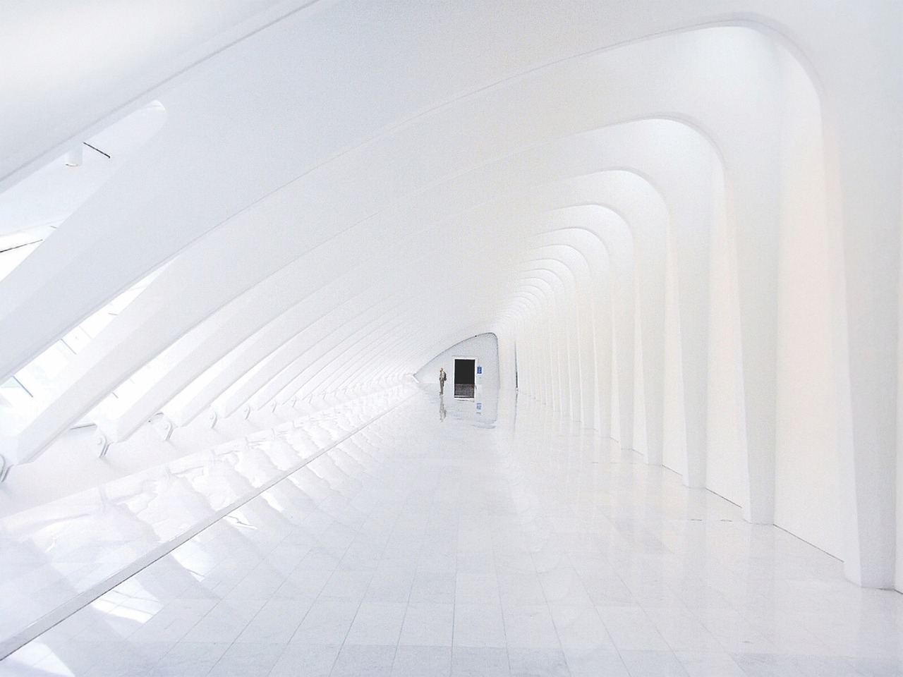 申城守护app详情下载教程